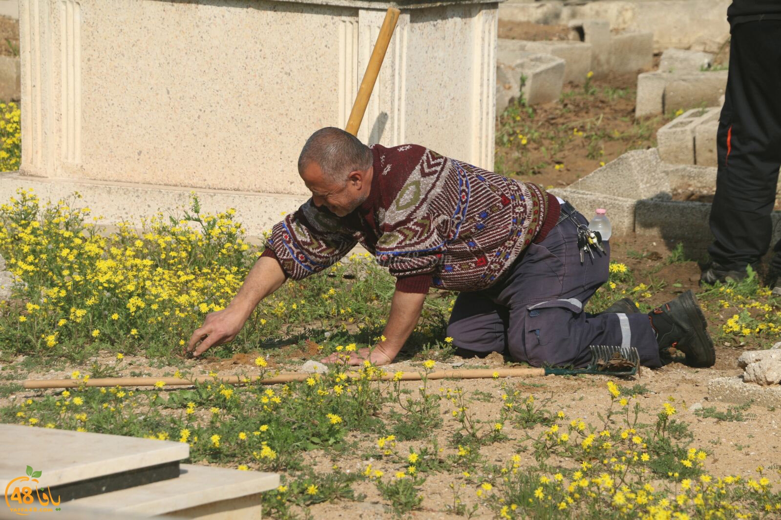 taso 23 tendedf (34).jpg